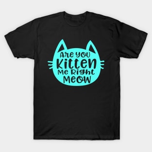 Are you kitten me right meow T-Shirt